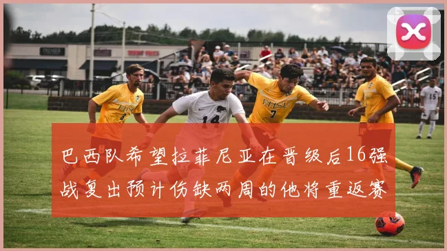 巴西队希望拉菲尼亚在晋级后16强战复出预计伤缺两周的他将重返赛场